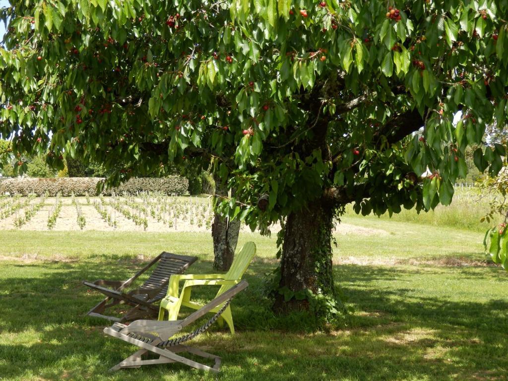 Bed and Breakfast Chateau La Mothe Du Barry Moulon-sur-Dordogne Exterior foto